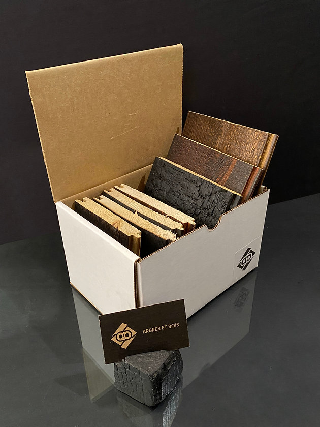 580ef7_091aa335bd354855a37beecff94e819d~mv2