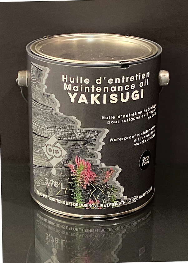 580ef7_e3be05fac5f44b84815764f3706674ec~mv2